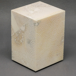 Chauncey Flay, Seawall #39, 2024-25