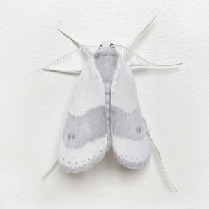 Elizabeth Thomson, Moth #8, 2017