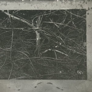 Ann Robinson, Black Wedge Between Earth & Sky, Lightwell Series, 2021