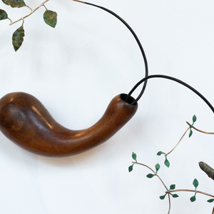 Bing Dawe, Still Life - Container with Galaxiidae and branches Olearia, 2024