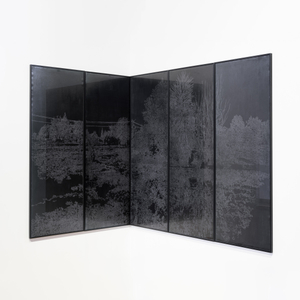 Fiona Van Oyen, I think this is part of our garden...(violet), 2017