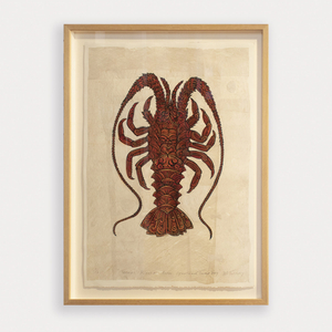 Michel Tuffery, Tupaia's Koura from Opoutama, Tolaga Bay, 2022