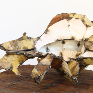 Hannah Kidd, Cook Island Conch, 2020