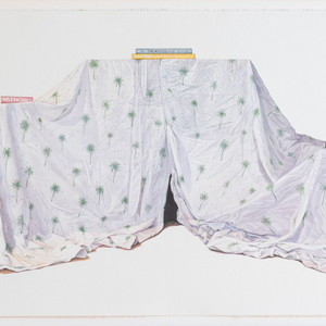 Jordan Barnes, The Hinterland (study), 2025