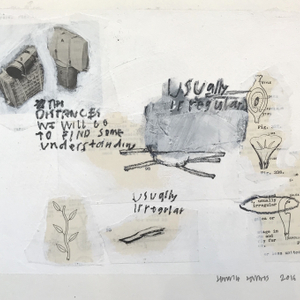 Jimmie James, how to identify plants/ usually irregular, 2016