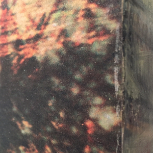 Dorothy Simpson Krause, Redmarsh, 2008