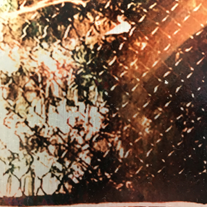 Dorothy Simpson Krause, Sinuous Rills, 2010