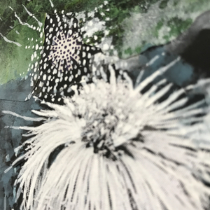 Sally Gil, Tall Mumm, 2017