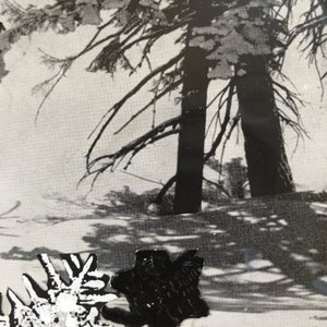 Sally Gil, The Skier, 2016