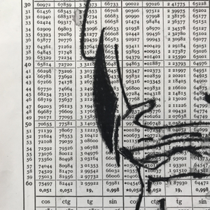 Brian Fekete, No. 61, 2017