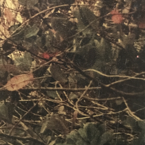 Dorothy Simpson Krause, Backwater, 2008