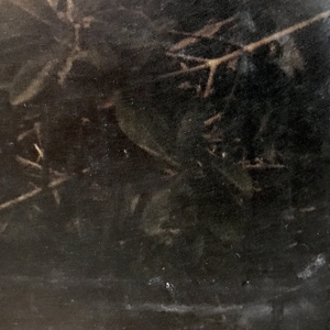 Dorothy Simpson Krause, Backwater, 2008