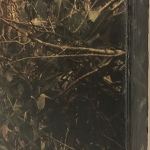 Dorothy Simpson Krause, Backwater, 2008