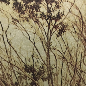 Dorothy Simpson Krause, Backwater, 2008