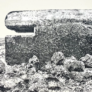 Ariane Fruit, MARRÉE BASSE # 1, 2025