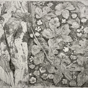 Charles Donker, Hop XVII (Vlierstam Boterbloemen), 2023