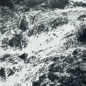 Maurice Maillard, Le Chemin de l'eau, 2007