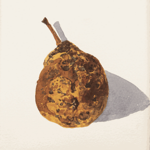 Delphine D. Garcia, 19.IX. 18, 2018