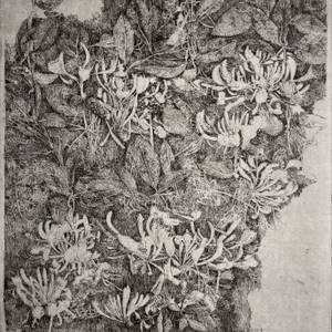 Charles Donker, Kamperfoelie, 2025