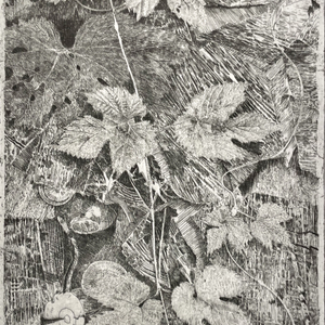 Charles Donker, Hop XVIII (Groningen regenwulpen), 2025