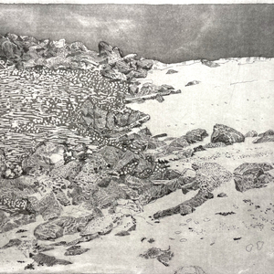 Charles Donker, Eemsdelta V, 2025