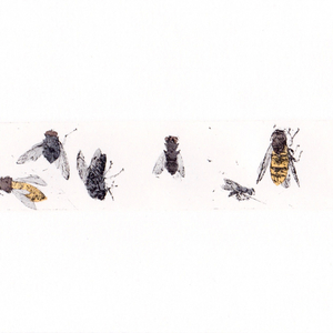 Delphine D. Garcia, 24.VI.13, 2013