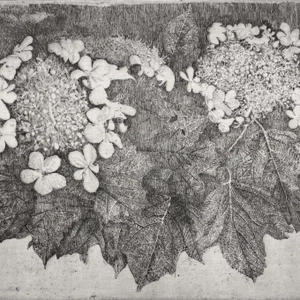 Charles Donker, Gelderse Roos, 2025