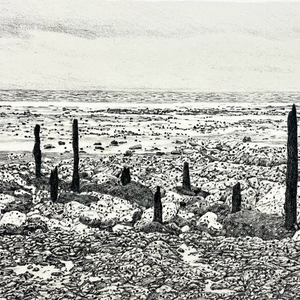 Ariane Fruit, MARRÉE BASSE # 4, 2025