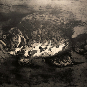 Marjan Seyedin, 'Poissons' #5, 2018