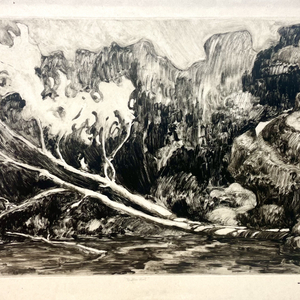 Nicolas Sage, Delftse Hout, 2014