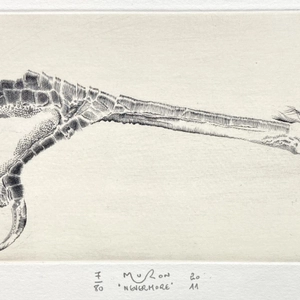 Jacques Muron, Nevermore, 2011