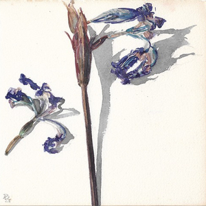 Delphine D. Garcia, 4.VI.20, 2020