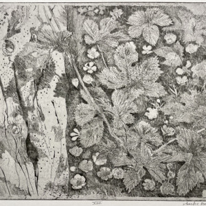 Charles Donker, Hop XVII (Vlierstam Boterbloemen), 2023