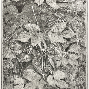 Charles Donker, Hop XVIII (Groningen regenwulpen), 2025