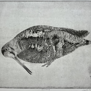 Charles Donker, Houtsnip VI, 2023