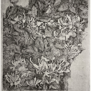 Charles Donker, Kamperfoelie, 2025