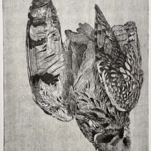 Charles Donker, Velduil I (Windmolen Eemshaven), 2023