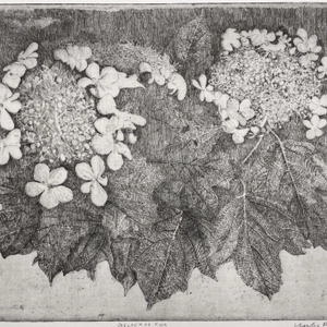 Charles Donker, Gelderse Roos, 2025