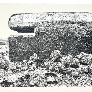 Ariane Fruit, MARRÉE BASSE # 1, 2025