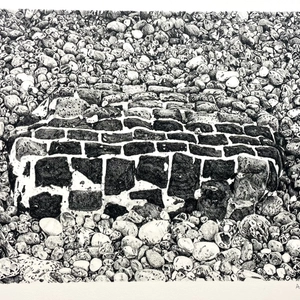 Ariane Fruit, MARRÉE BASSE # 3, 2025