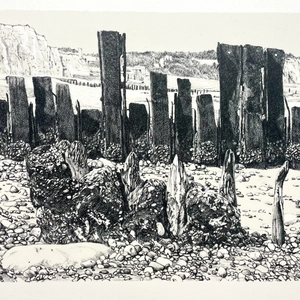 Ariane Fruit, MARRÉE BASSE # 5, 2026