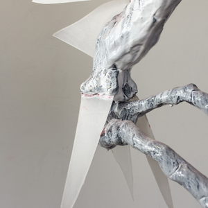 Giovanni Vetere, Halcyon, 2020