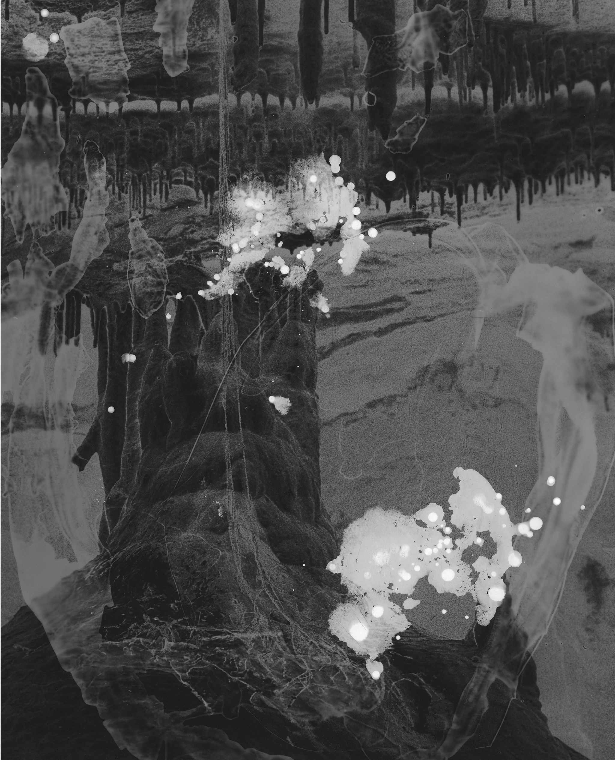 Finalist: 2026 Bowness Photography Prize Winner: Wai Tang Commissioning Award