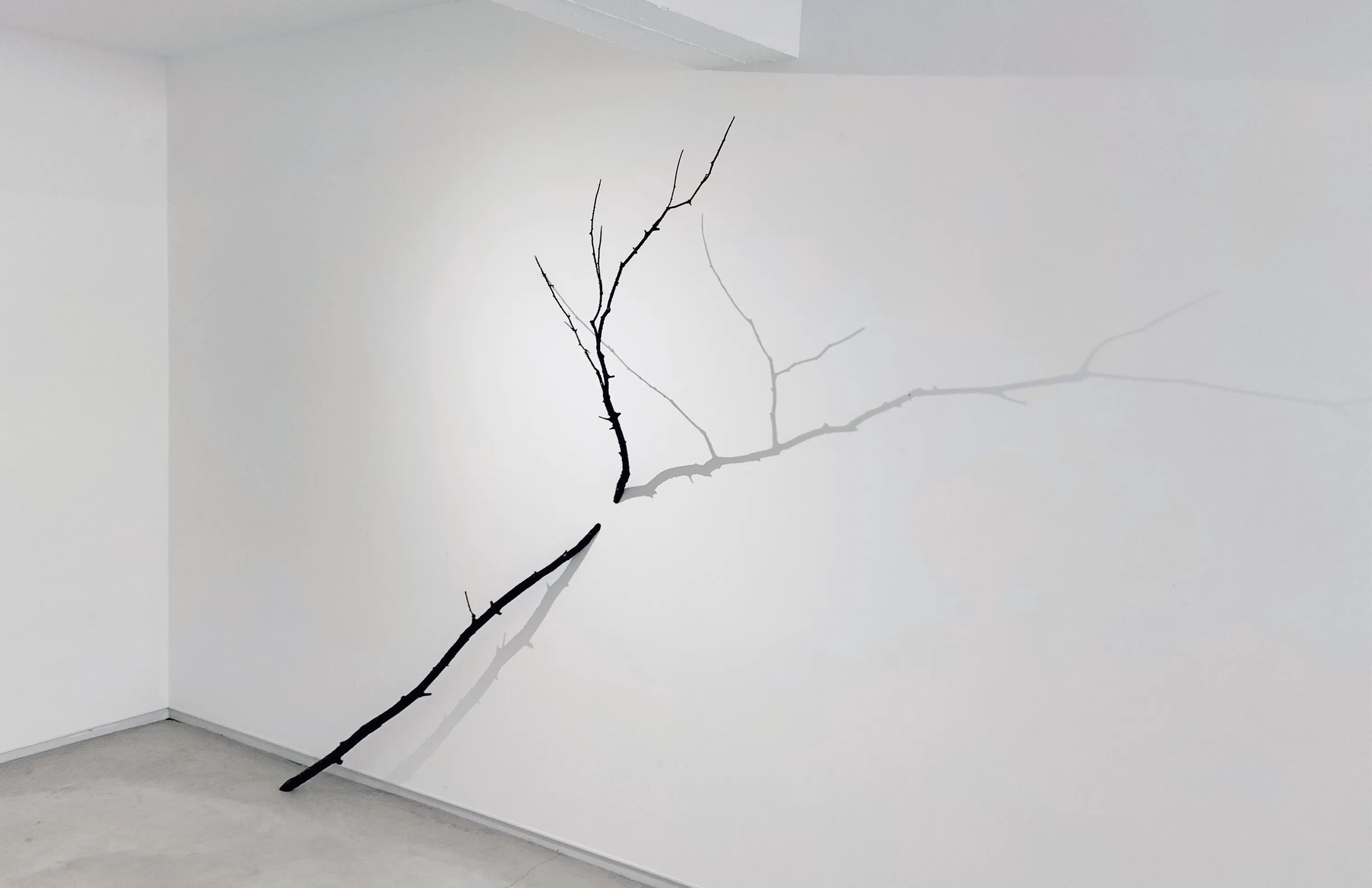 CRISTINA ALMODOVAR, INTERSECTION, 2025