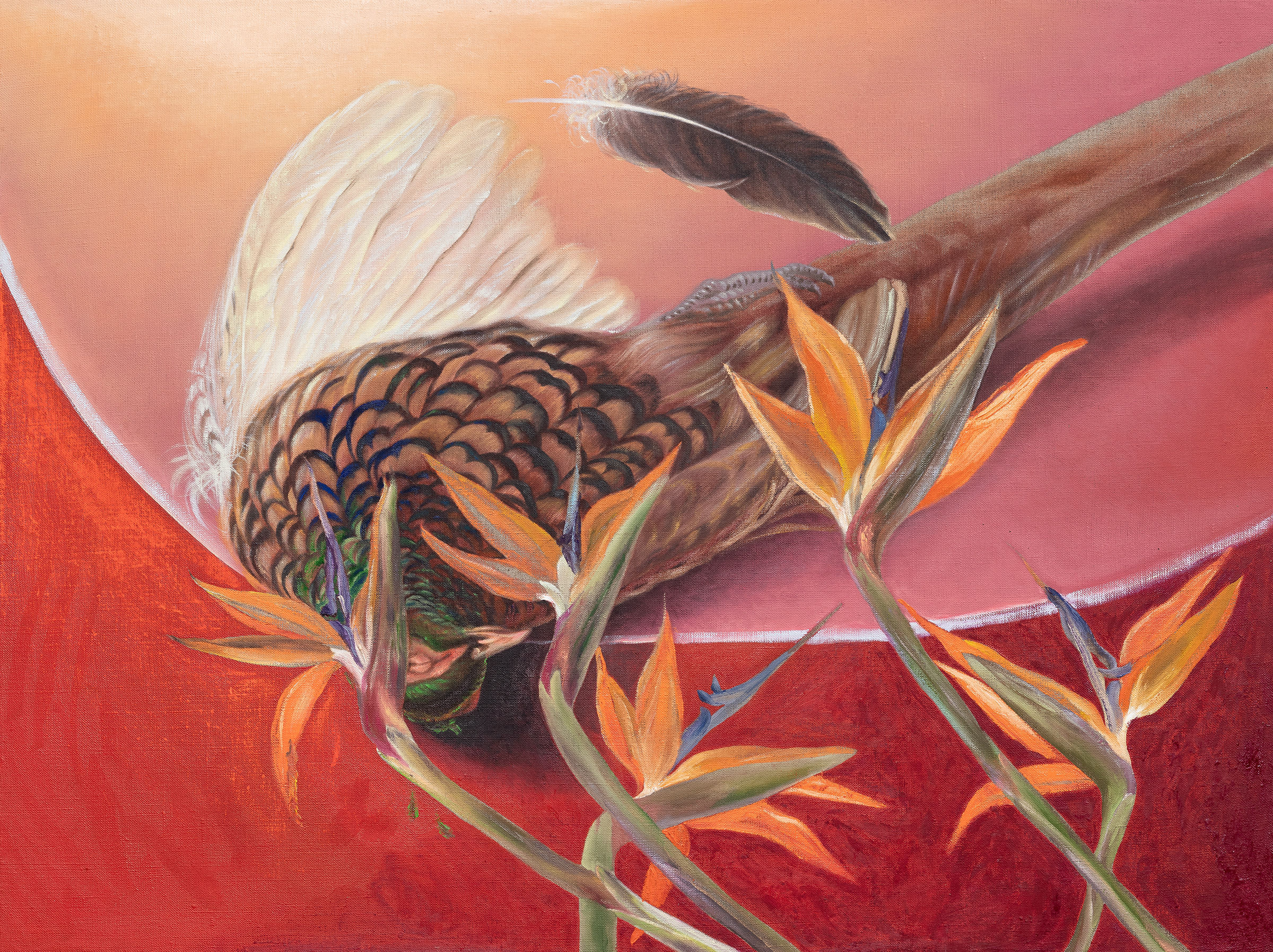 Ángela Ferrari, What about dreams in which you, 2025