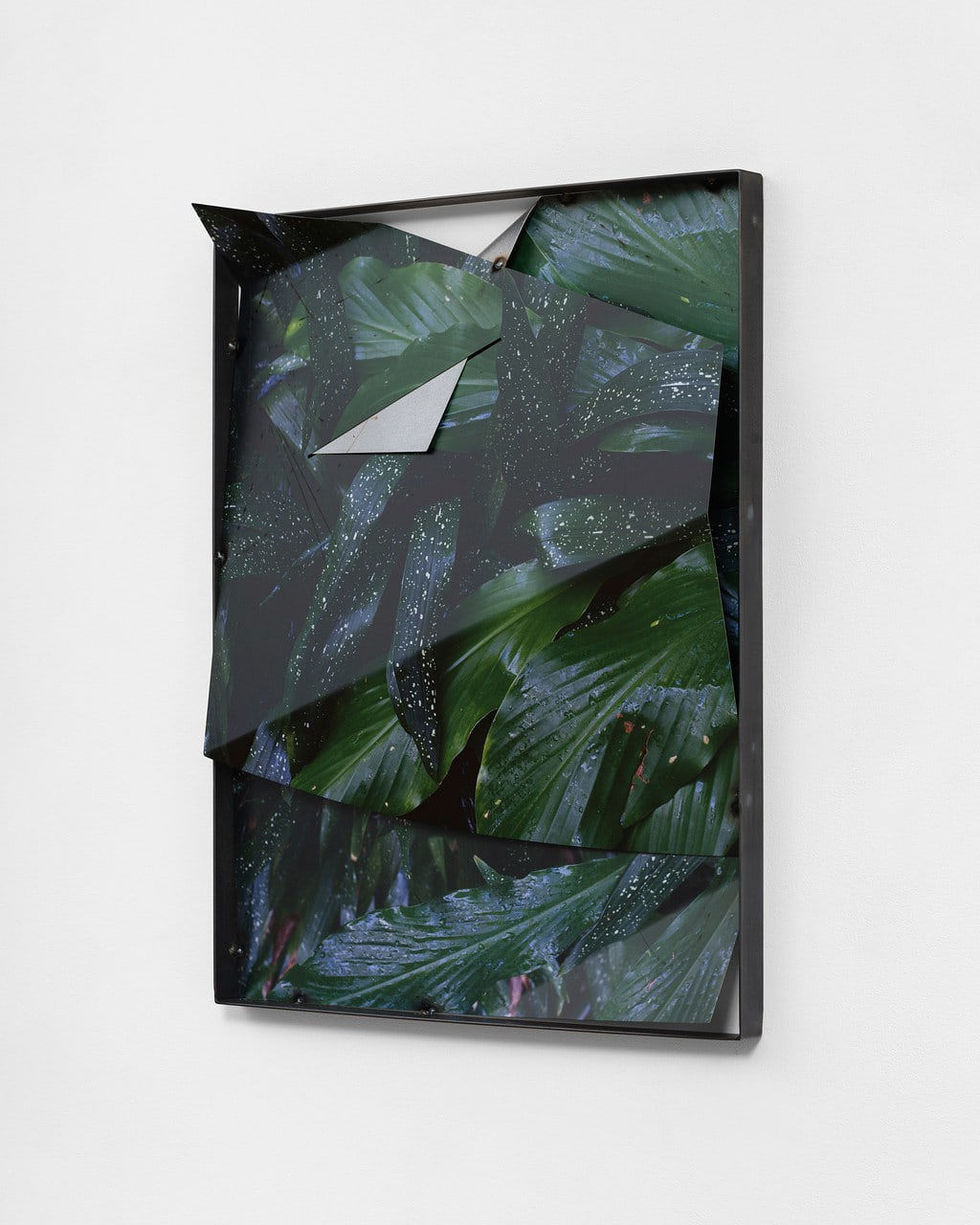 Letha Wilson, Green Leaves Tuck Steel, 2023