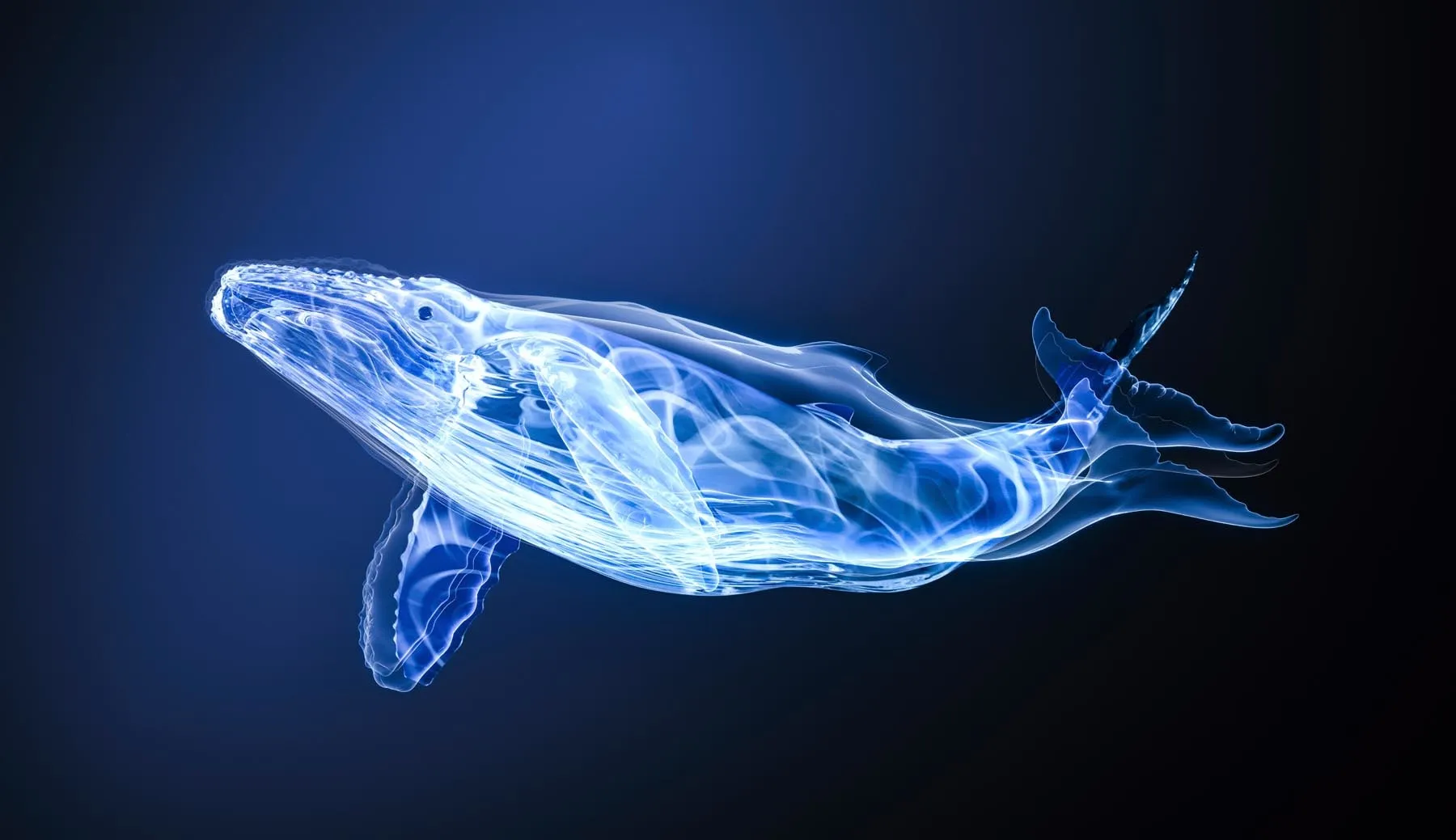 Musée de la Chasse et de la Nature | 'Uchronie', Vincent Fournier