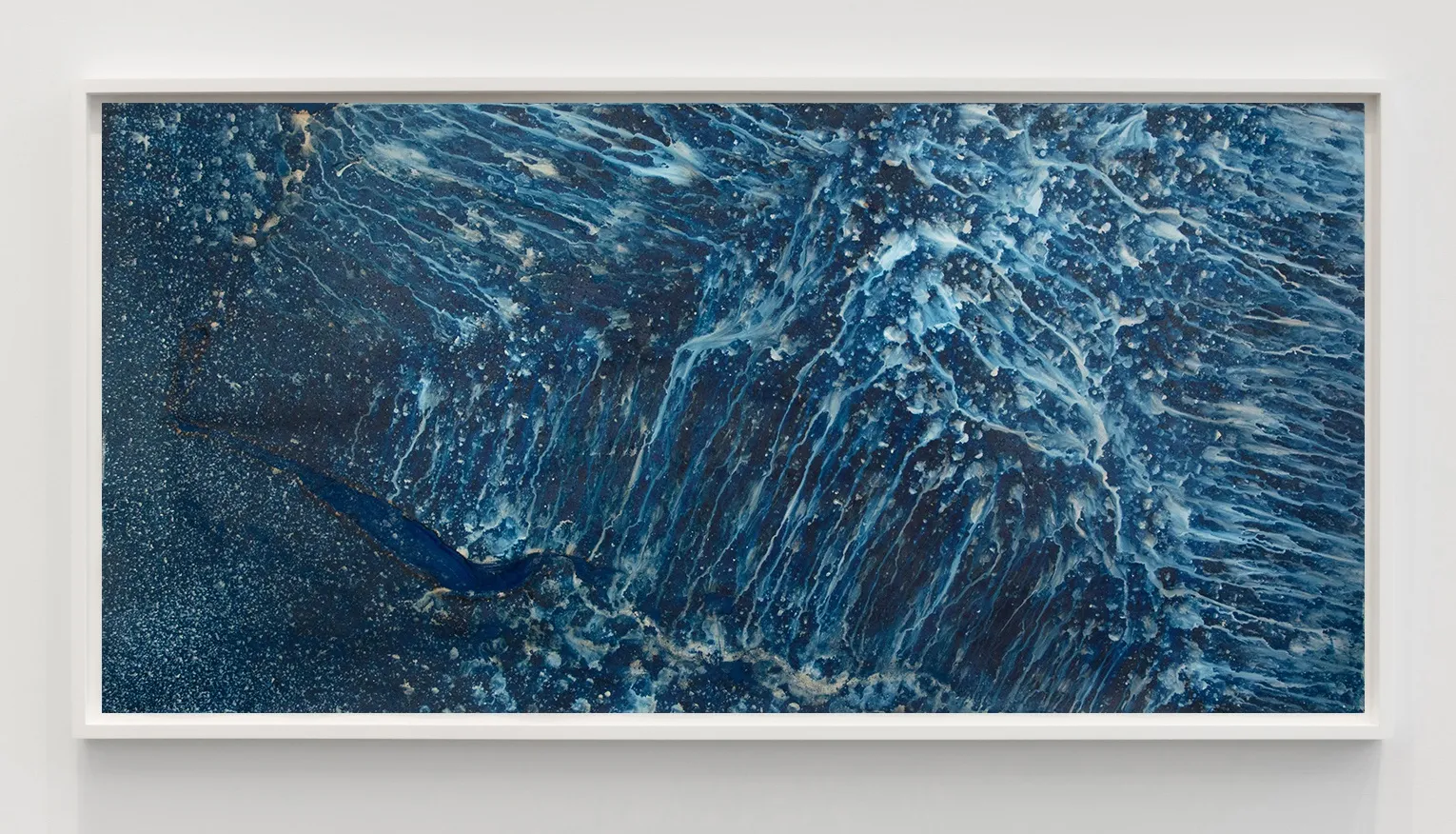 Meghann Riepenhoff (American, b. 1979) Ecotone #907 (Bainbridge Island, WA 06.03.20, Draped on Maple Windfall and Sword Ferns, Showers) ,...