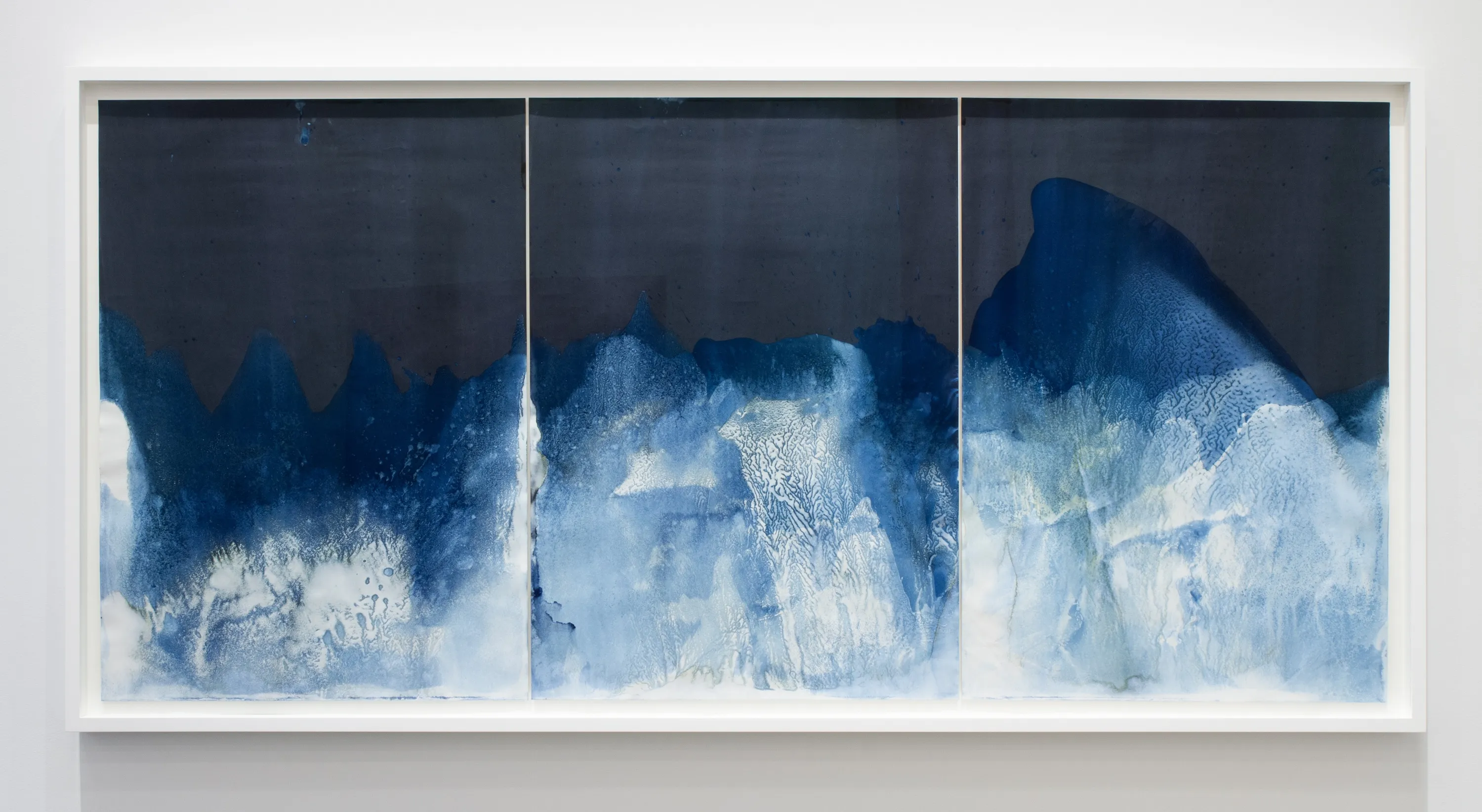 Meghann Riepenhoff (American, b. 1979) Waters of Oceania: FEMA - 4724 - DR (Ecological Succession Day Twenty - Three, Maui,...