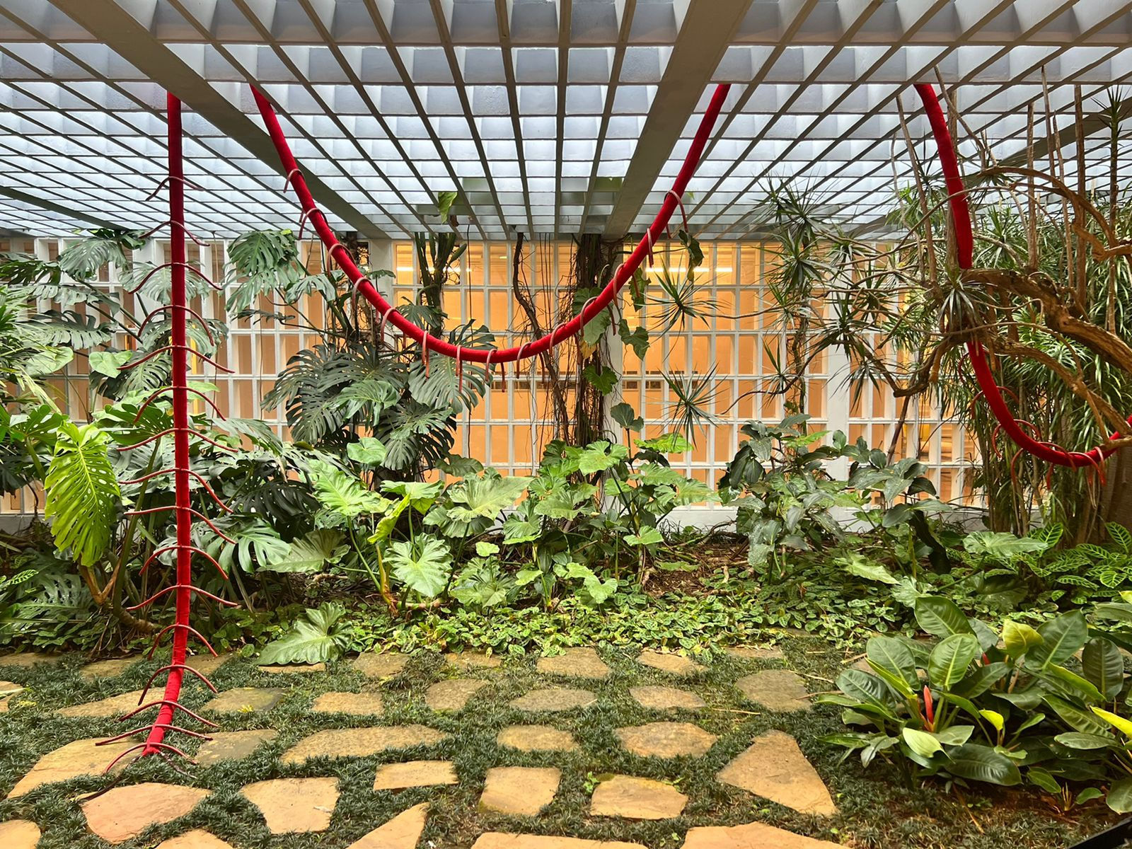 Selva de Carvalho, Lacraia é fogo